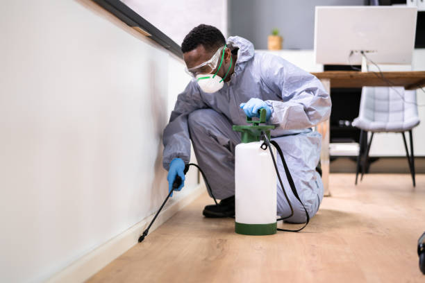 Best Pest Control for Multi-Family Homes  in Baywood, NY